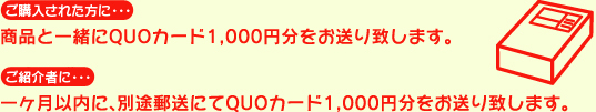 図書カード1000円分をお送り致します。