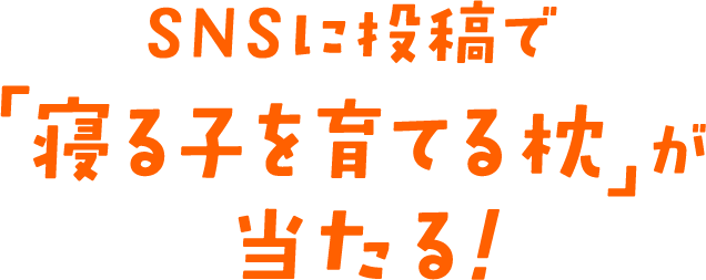 SNSに投稿で「寝る子を育てる枕」が当たる！