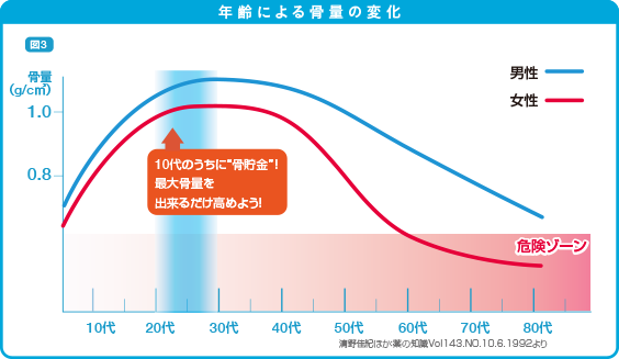 年齢と骨量の変化