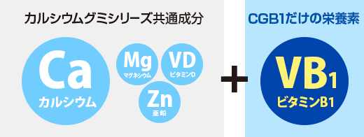 カルシウムグミシリーズ共通成分