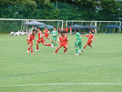 スポーツ応援プログラム