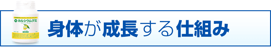 子供が成長する仕組み