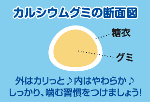 カルシウムグミの断面図