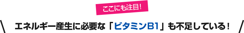 ここにも注目！エネルギー産生に必要な「ビタミンB1」も不足している！