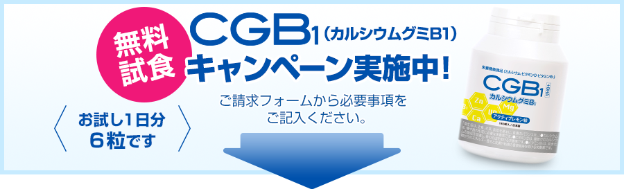 無料キャンペーン実施中！