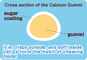 Cross section of the Calcium Gummi - it is crispy outside, and soft inside. Let’s form the habit of chewing foods! 