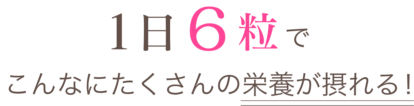 1日６粒でこんなにたくさんの栄養が摂れる！