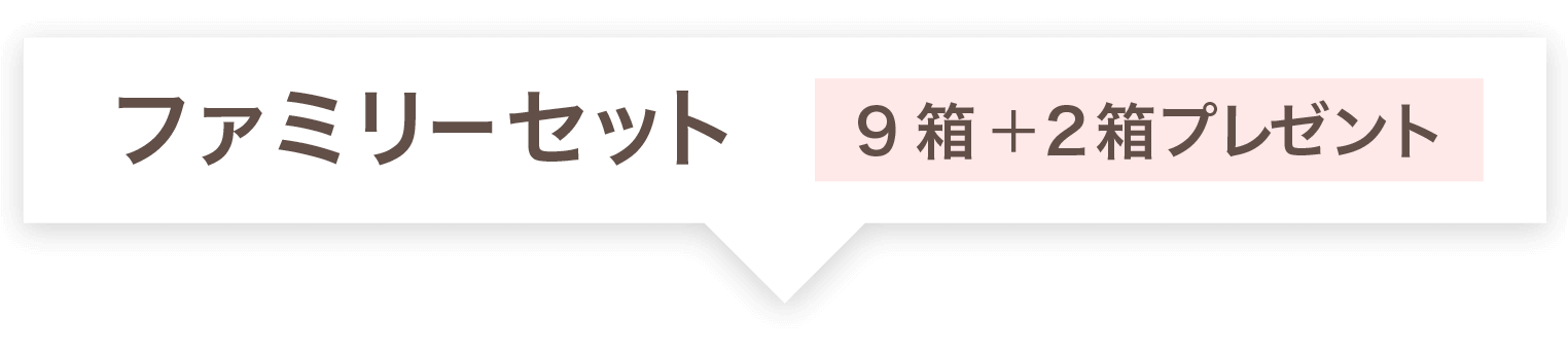 ファミリーセット